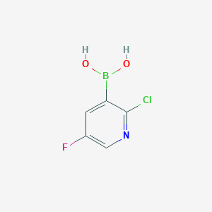 molecular formula C5H4BClFNO2 B1593250 2-Chloro-5-fluoropyridine-3-boronic acid CAS No. 913373-43-0
