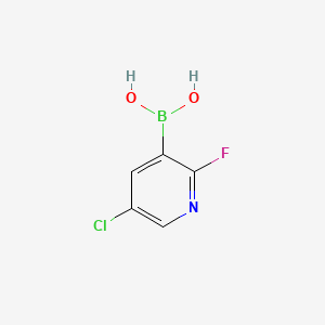 molecular formula C5H4BClFNO2 B1593403 5-Chloro-2-fluoropyridine-3-boronic acid CAS No. 937595-70-5