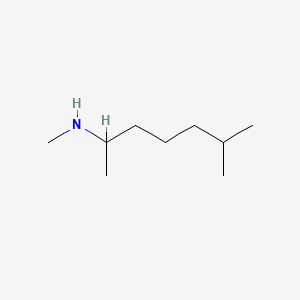 molecular formula C9H21N B1593956 N,1,5-三甲基己胺 CAS No. 503-00-4