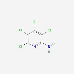 molecular formula C5H2Cl4N2 B1594132 3,4,5,6-Tetrachloropyridin-2-amine CAS No. 51501-52-1
