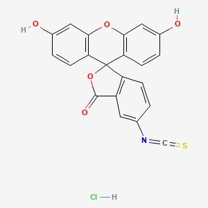 molecular formula C21H12ClNO5S B1594304 Spiro[isobenzofuran-1(3H),9'-[9H]xanthen]-3-one, 3',6'-dihydroxy-5-isothiocyanato-, hydrochloride CAS No. 63469-13-6