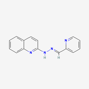 molecular formula C15H12N4 B1594579 吡啶-2-甲醛-2-喹啉基腙 CAS No. 7385-99-1