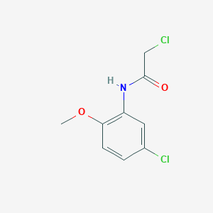 molecular formula C9H9Cl2NO2 B1594869 2-chloro-N-(5-chloro-2-methoxyphenyl)acetamide CAS No. 35588-41-1