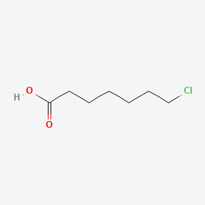 molecular formula C7H13ClO2 B1594930 庚酸，7-氯- CAS No. 821-57-8