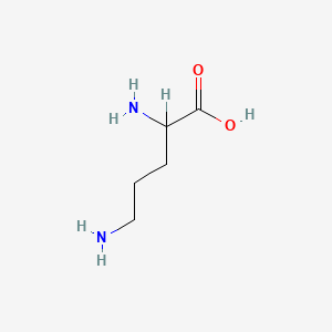 molecular formula C5H12N2O2 B1595655 DL-鸟氨酸 CAS No. 616-07-9