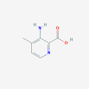 molecular formula C7H8N2O2 B1596556 3-Amino-4-methylpicolinic acid CAS No. 53636-30-9