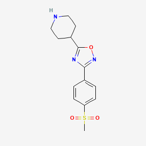 molecular formula C14H17N3O3S B1597821 3-(4-(Methylsulfonyl)phenyl)-5-(piperidin-4-yl)-1,2,4-oxadiazole CAS No. 849925-03-7