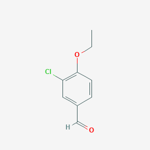 molecular formula C9H9ClO2 B1598427 3-Chloro-4-ethoxybenzaldehyde CAS No. 99585-10-1