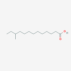 molecular formula C14H28O2 B1598504 11-Methyltridecanoic acid CAS No. 29709-05-5