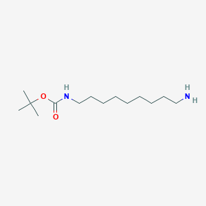 molecular formula C14H30N2O2 B1598680 tert-Butyl (9-aminononyl)carbamate CAS No. 510754-90-2