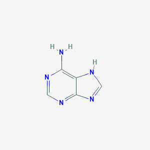 molecular formula C5H5N5 B159924 腺嘌呤 CAS No. 134434-48-3