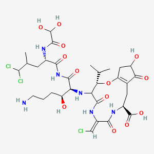 molecular formula C31H45Cl3N6O13 B1599321 (3S,7Z,10S)-4-[[(2S,3S)-6-Amino-1-[[(2S)-5,5-dichloro-2-[(2,2-dihydroxyacetyl)amino]-4-methylpentanoyl]amino]-3-hydroxy-1-oxohexan-2-yl]amino]-7-(chloromethylidene)-14-hydroxy-5,8,13-trioxo-3-propan-2-yl-2-oxa-6,9-diazabicyclo[10.3.0]pentadec-1(12)-ene-10-carboxylic acid CAS No. 100822-41-1
