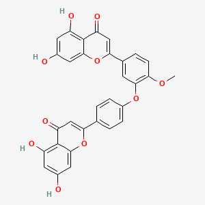 molecular formula C31H20O10 B1599371 4'-O-Methylochnaflavone CAS No. 49619-87-6