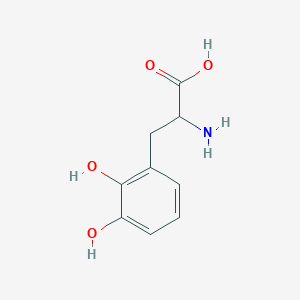 molecular formula C9H11NO4 B1600232 2-amino-3-(2,3-dihydroxyphenyl)propanoic Acid CAS No. 579-27-1