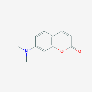 molecular formula C11H11NO2 B1600937 7-Dimethylaminocoumarin CAS No. 57597-38-3