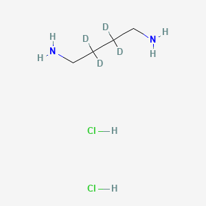molecular formula C4H14Cl2N2 B1600973 2,2,3,3-Tetradeuteriobutane-1,4-diamine;dihydrochloride CAS No. 88972-24-1
