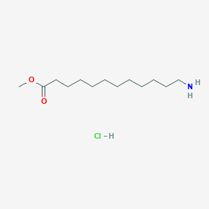 molecular formula C13H28ClNO2 B016019 Methyl 12-aminododecanoate hydrochloride CAS No. 4271-86-7