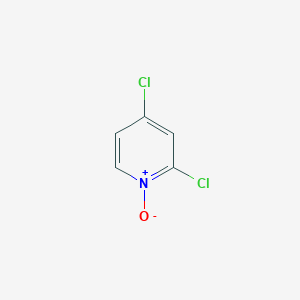 molecular formula C5H3Cl2NO B1602154 2,4-Dichloropyridine 1-oxide CAS No. 13602-59-0