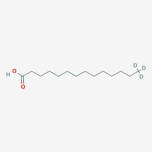 molecular formula C14H28O2 B1602346 Tetradecanoic-14,14,14-d3 acid CAS No. 62217-71-4