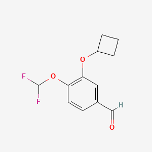 3-Cyclobutoxy-4-difluoromethoxy-benzaldehyde