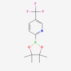 2-(4,4,5,5-Tetramethyl-1,3,2-dioxaborolan-2-YL)-5-(trifluoromethyl)pyridine