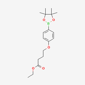 molecular formula C18H27BO5 B1602585 Ethyl 4-[4-(4,4,5,5-tetramethyl-1,3,2-dioxaborolan-2-yl)phenoxy]butanoate CAS No. 859169-90-7