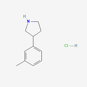 B1602809 3-(m-Tolyl)pyrrolidine hydrochloride CAS No. 1187172-21-9