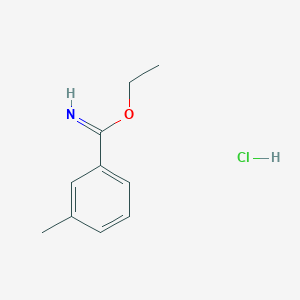 molecular formula C10H14ClNO B1603723 Ethyl 3-methylbenzimidate hydrochloride CAS No. 54998-35-5