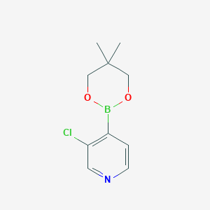 molecular formula C10H13BClNO2 B1604019 3-Chloro-4-(5,5-dimethyl-1,3,2-dioxaborinan-2-yl)pyridine CAS No. 915070-52-9
