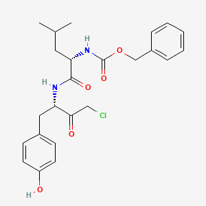 molecular formula C24H29ClN2O5 B1604533 Carbobenzyloxyleucyl-tyrosine chloromethyl ketone CAS No. 56979-35-2