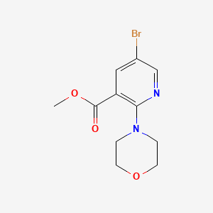 Methyl 5-bromo-2-morpholinonicotinate