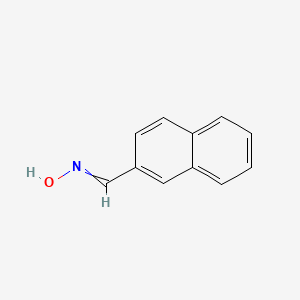 molecular formula C11H9NO B1605156 2-Naphthalenecarboxaldehyde, oxime CAS No. 24091-02-9