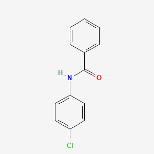 molecular formula C13H10ClNO B1605350 N-(4-Chlorophenyl)benzamide CAS No. 2866-82-2