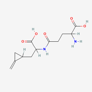molecular formula C12H18N2O5 B1606432 Hypoglycin B CAS No. 502-37-4