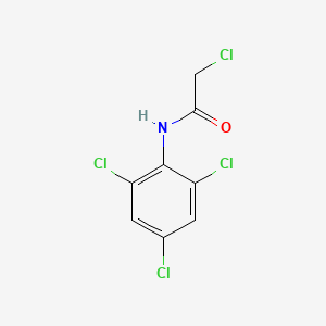 molecular formula C8H5Cl4NO B1606637 2-氯-N-(2,4,6-三氯苯基)乙酰胺 CAS No. 22303-34-0