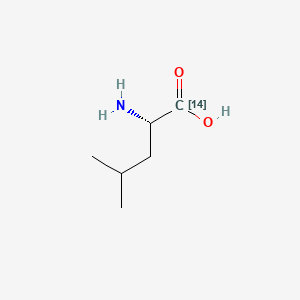 molecular formula C6H13NO2 B1606900 (1-14C)Leucine CAS No. 6109-63-3