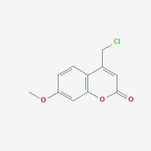 molecular formula C11H9ClO3 B1607491 4-Chloromethyl-7-methoxy-chromen-2-one CAS No. 41295-55-0