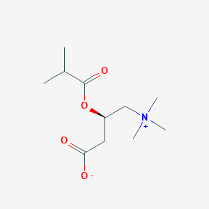 molecular formula C11H21NO4 B160777 Isobutyrylcarnitine CAS No. 25518-49-4