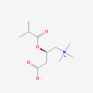molecular formula C11H21NO4 B160777 Isobutyryl-L-carnitine CAS No. 25518-49-4