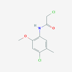 molecular formula C10H11Cl2NO2 B1607852 2-chloro-N-(4-chloro-2-methoxy-5-methylphenyl)acetamide CAS No. 379255-21-7