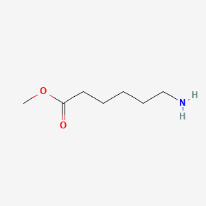 molecular formula C7H16NO2+ B1607986 Methyl 6-aminohexanoate CAS No. 2780-89-4