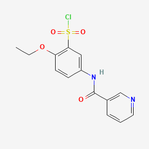 2-Ethoxy-5-[(pyridine-3-carbonyl)-amino]-benzenesulfonyl chloride