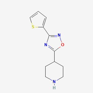 molecular formula C11H13N3OS B1608224 4-[3-(Thien-2-yl)-1,2,4-oxadiazol-5-yl]piperidine CAS No. 244272-35-3