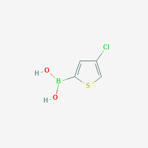 molecular formula C4H4BClO2S B1608654 4-Chlorothiophene-2-boronic acid CAS No. 1133931-02-8