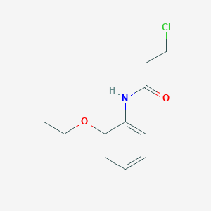 molecular formula C11H14ClNO2 B1609072 3-chloro-N-(2-ethoxyphenyl)propanamide CAS No. 334504-88-0