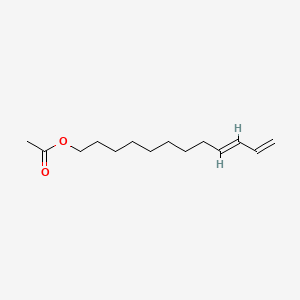 molecular formula C14H24O2 B1609281 (E)-Dodeca-9,11-dienyl acetate CAS No. 50767-78-7