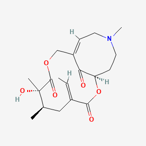 molecular formula C19H27NO6 B1609364 Crotaverrine CAS No. 60827-69-2