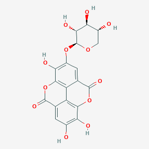 molecular formula C19H14O12 B160941 Ellagic acid 4-O-xylopyranoside CAS No. 139163-18-1
