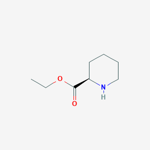 molecular formula C8H15NO2 B1609539 (R)-Ethyl piperidine-2-carboxylate CAS No. 22328-77-4