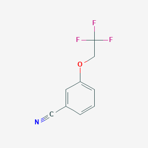 molecular formula C9H6F3NO B1611641 3-(2,2,2-Trifluoroethoxy)benzonitrile CAS No. 84328-66-5